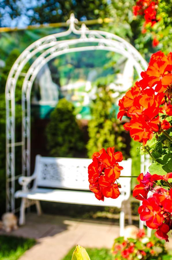 Guest house Hotel-pensiunea Zefir Timisoara