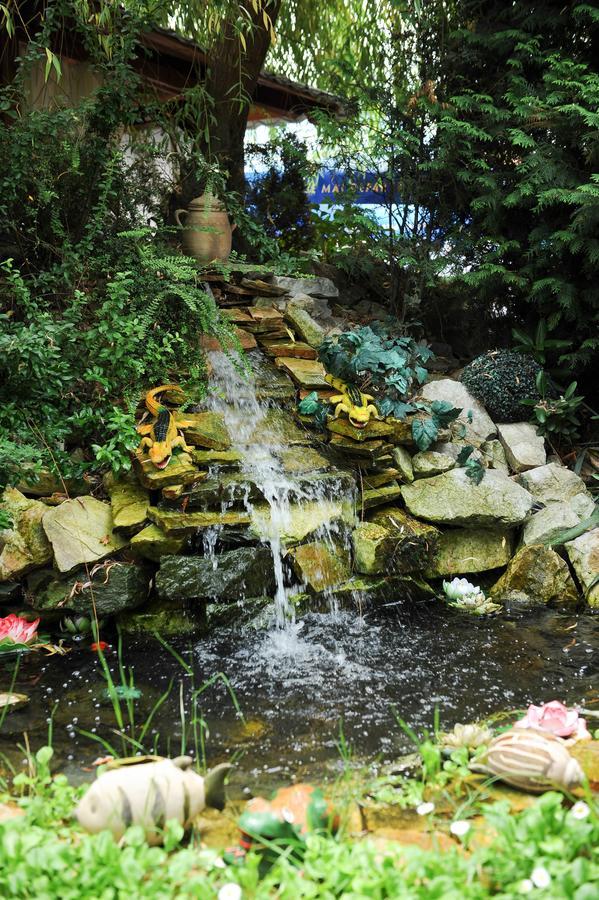 Hotel-pensiunea Zefir Guest house Timisoara
